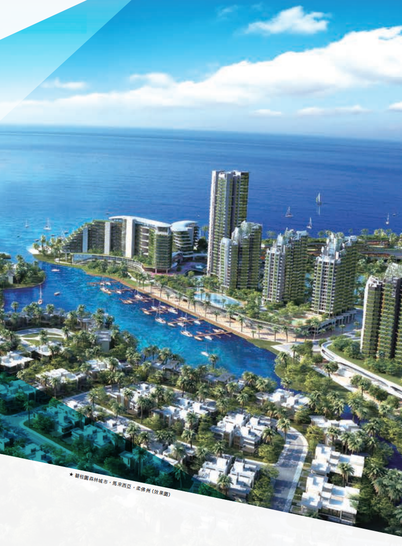 碧桂园控股有限公司2015年年度报告.pdf 第5页