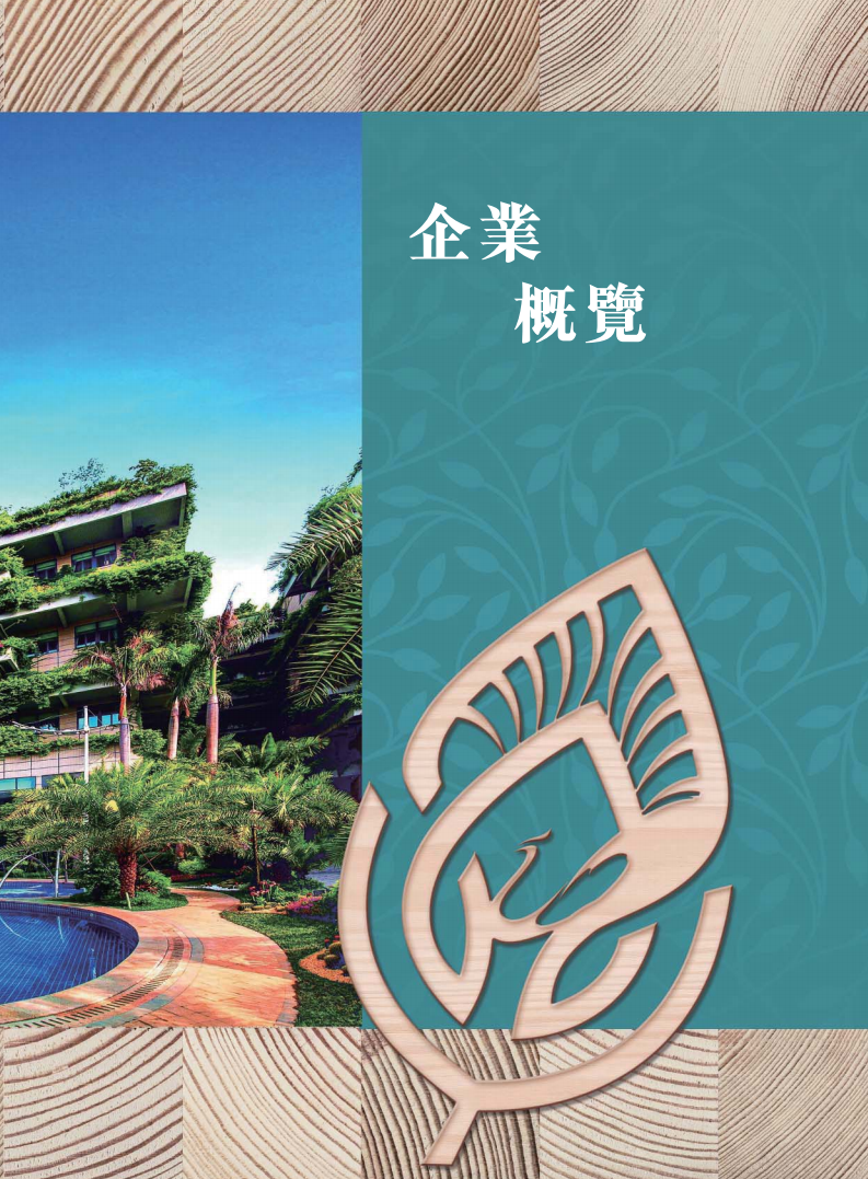 碧桂园控股有限公司2017年年度报告.pdf 第5页