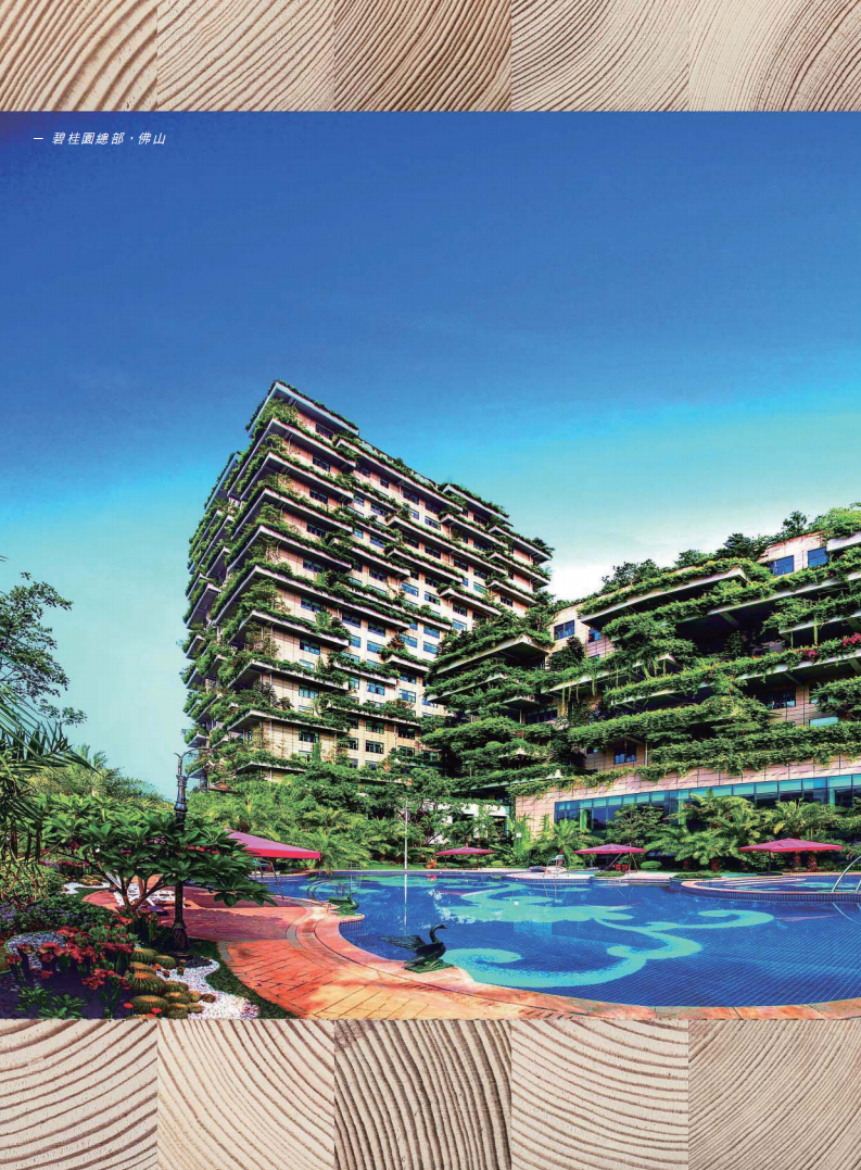 碧桂园控股有限公司2017年年度报告.pdf 第4页