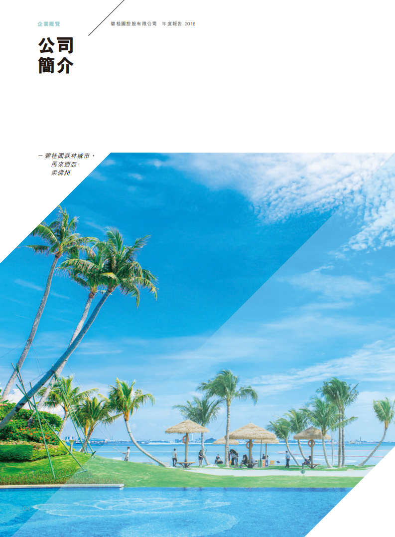碧桂园控股有限公司2016年年度报告.pdf 第6页