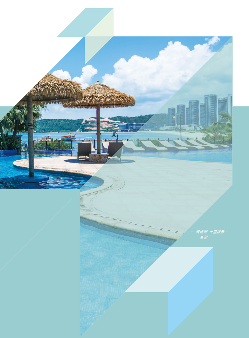 碧桂园控股有限公司2016年年度报告.pdf 第5页