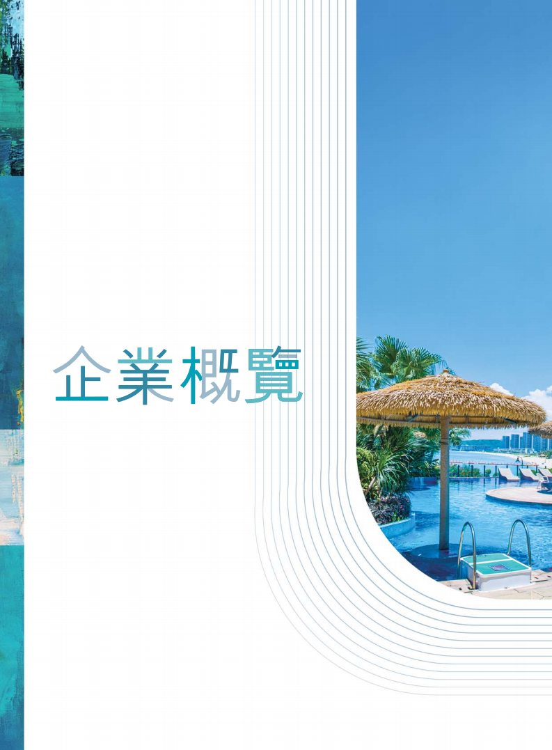 碧桂园控股有限公司2018年年度报告.pdf 第4页