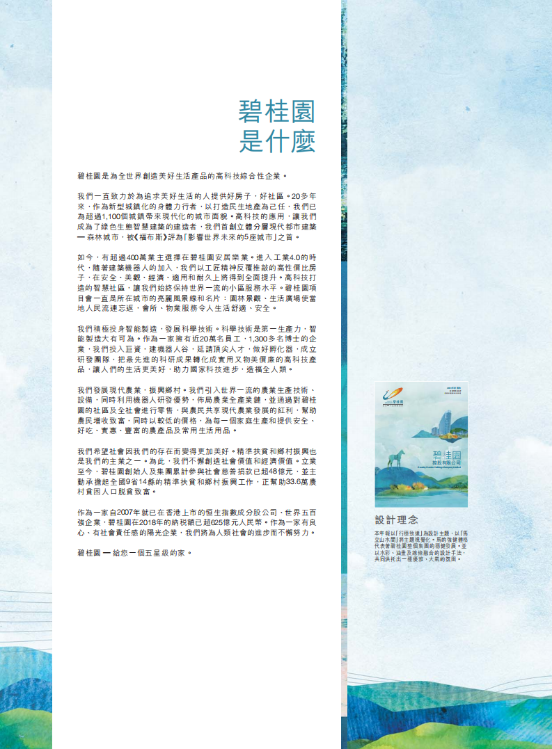 碧桂园控股有限公司2018年年度报告.pdf 第2页
