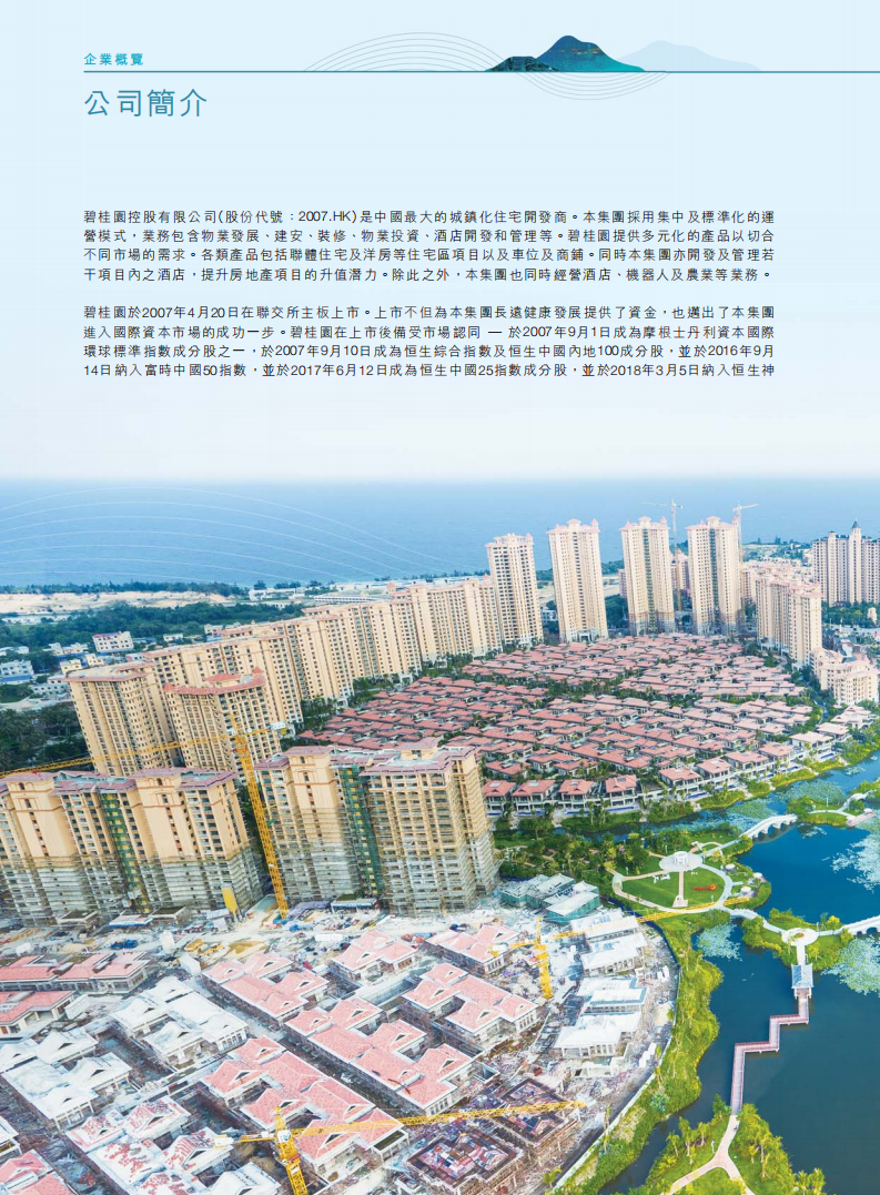碧桂园控股有限公司2018年年度报告.pdf 第6页
