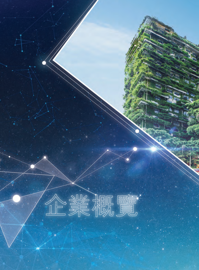 碧桂园控股有限公司2019年年度报告.pdf 第4页