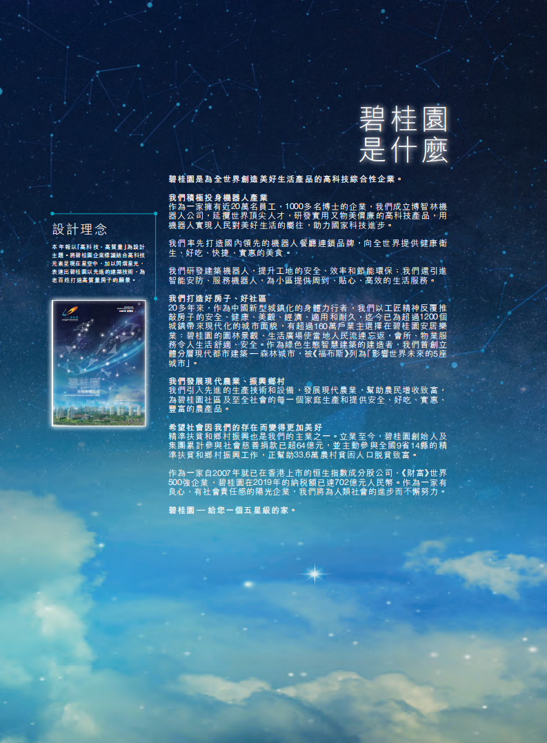 碧桂园控股有限公司2019年年度报告.pdf 第2页
