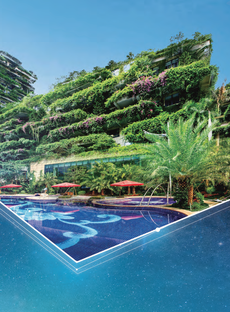 碧桂园控股有限公司2019年年度报告.pdf 第5页