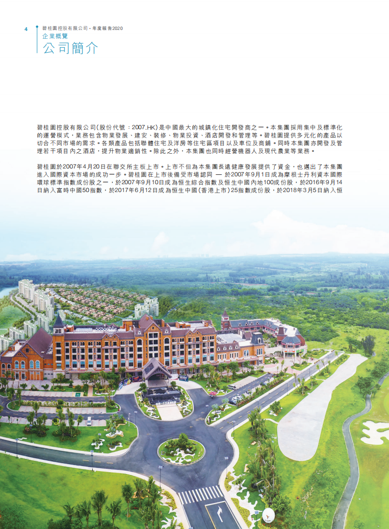 碧桂园控股有限公司2020年年度报告.pdf 第6页