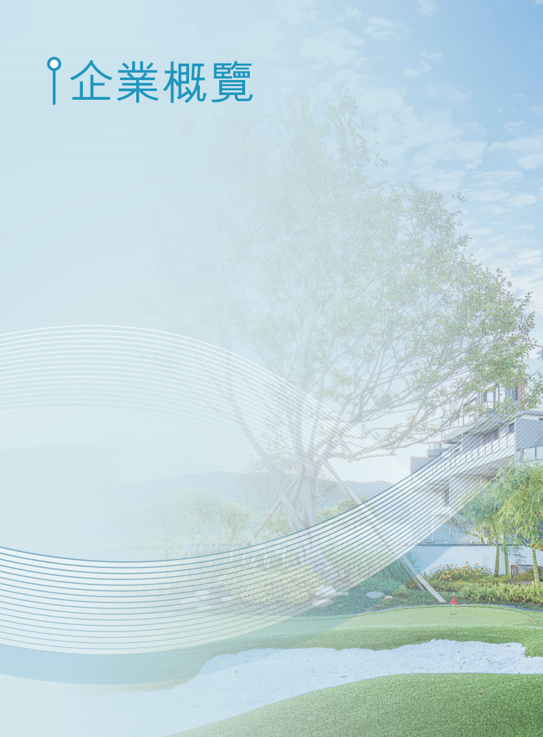 碧桂园控股有限公司2020年年度报告.pdf 第4页