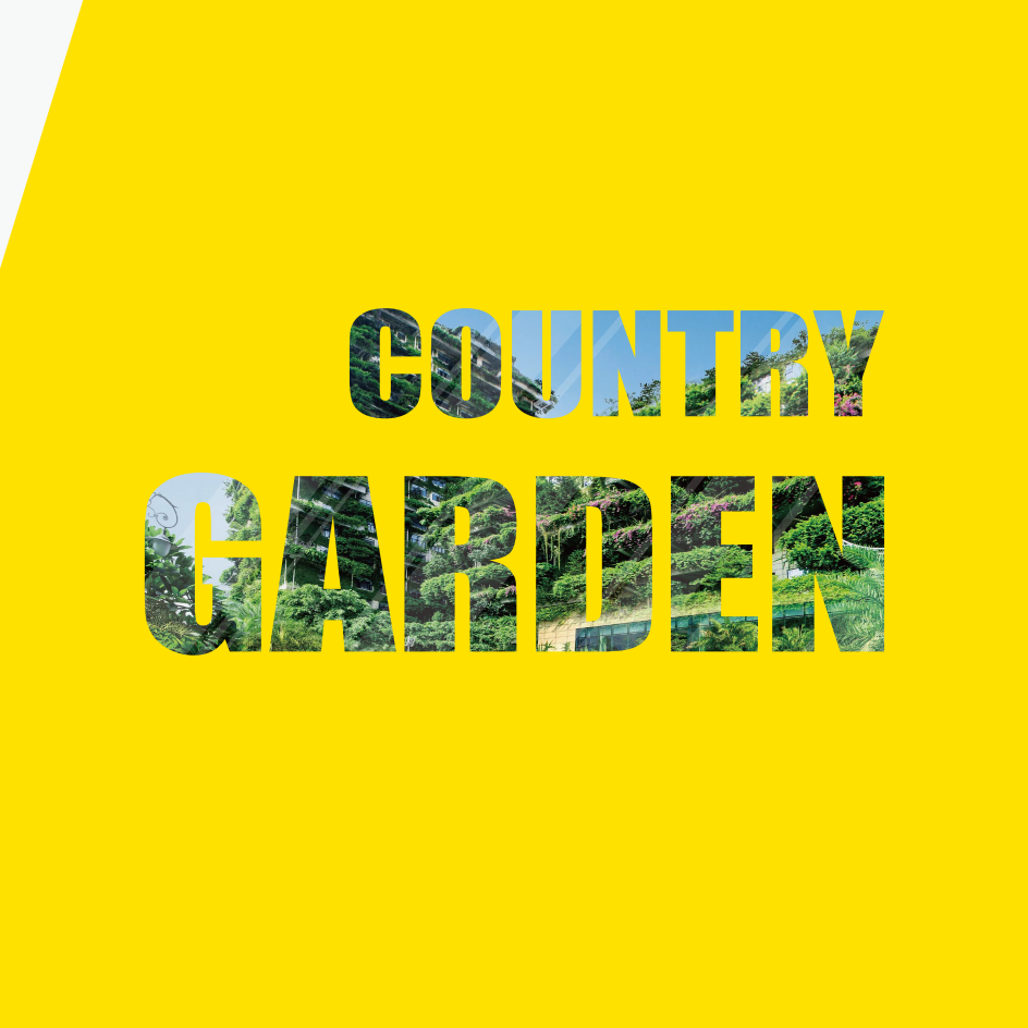 碧桂园：2017年度可持续发展报告.pdf 第6页