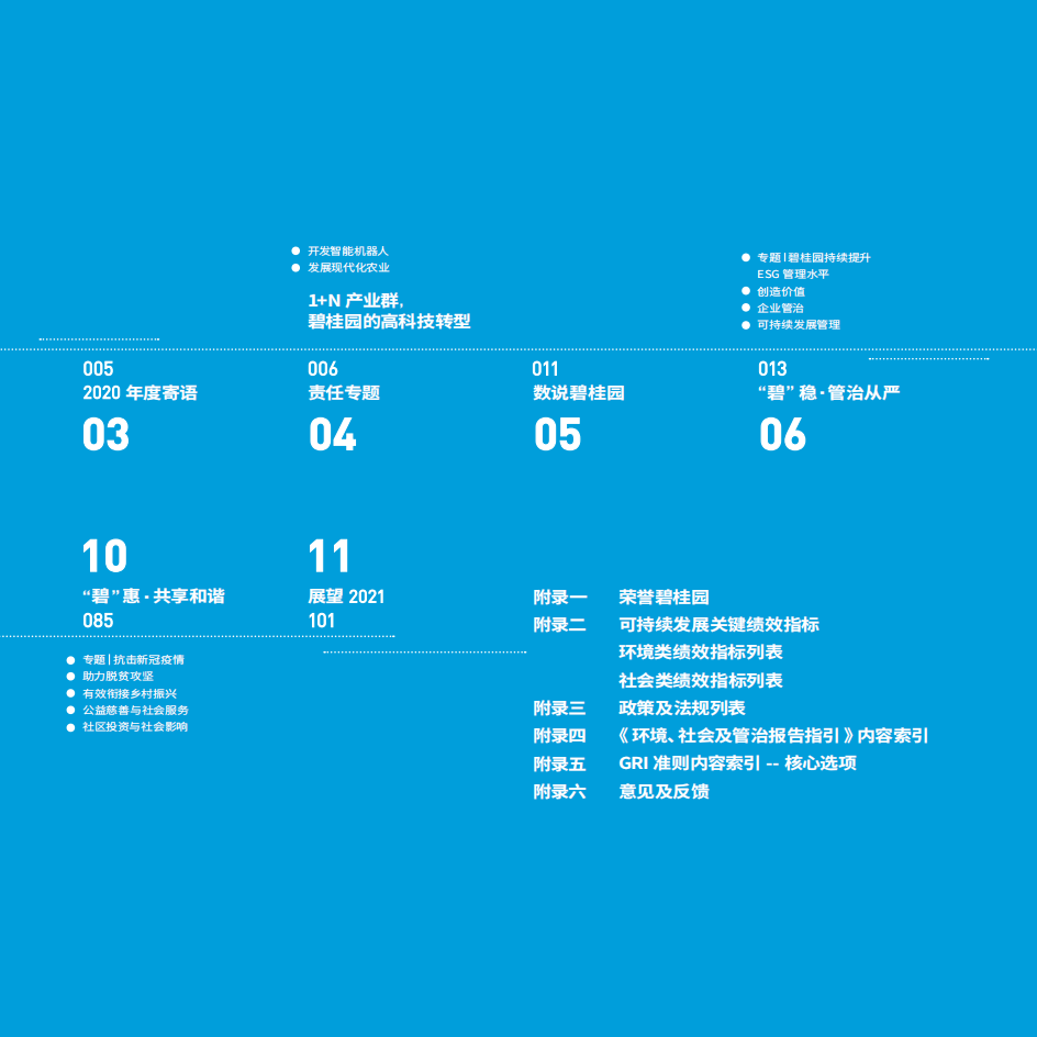 碧桂园：2020年度可持续发展报告.pdf 第5页