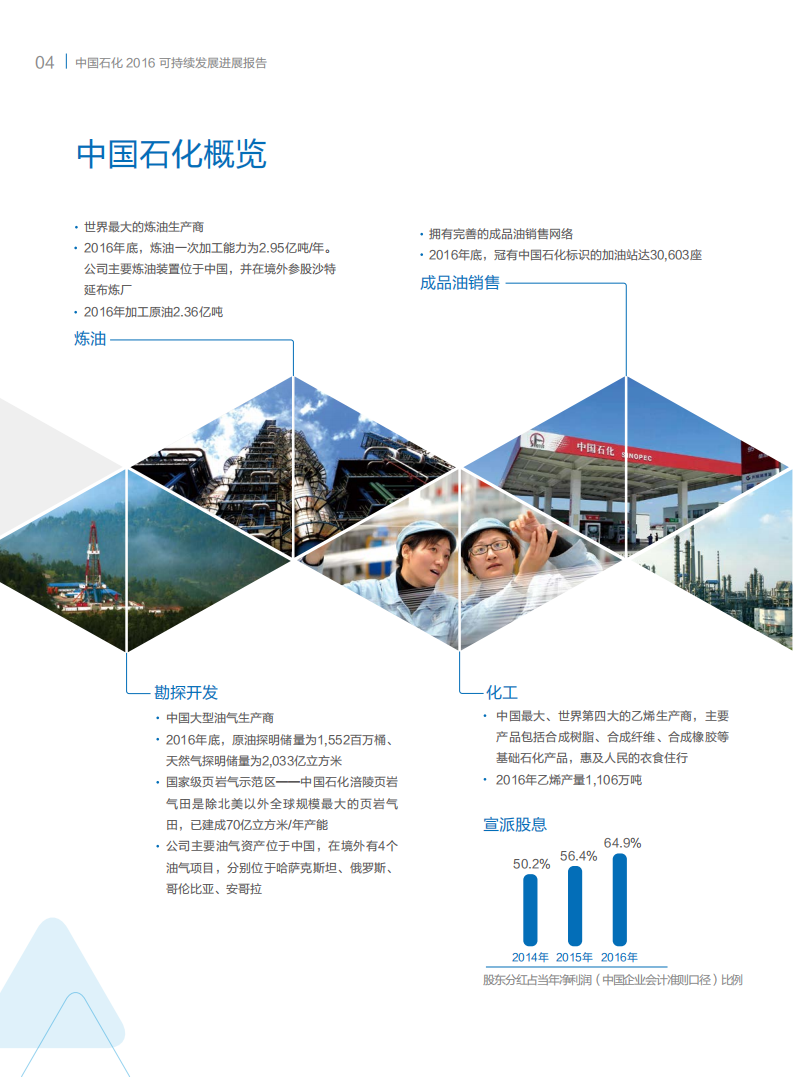 中国石化：2016年可持续发展进展报告.pdf 第6页