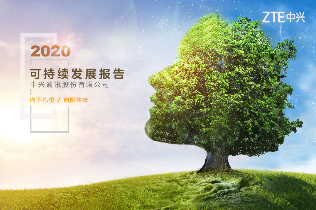 中兴通讯：2020年度可持续发展报告.pdf 第1页
