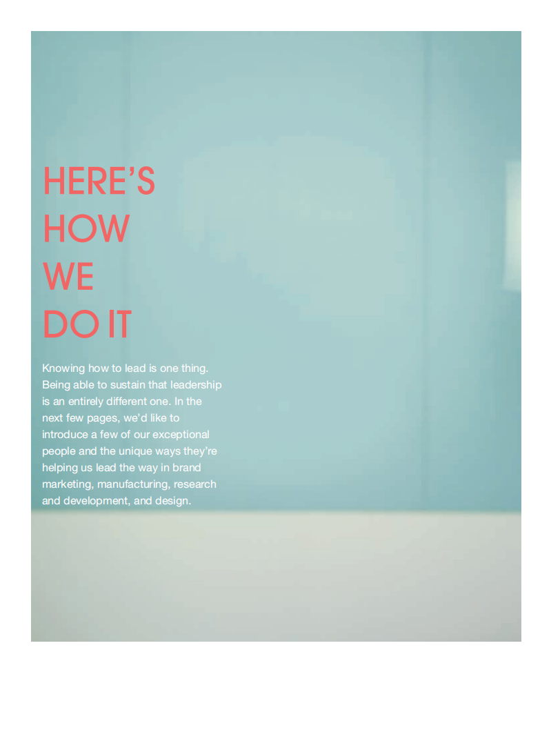 三星电子(SAMSUNG)2008年年度报告(英文版).pdf 第4页