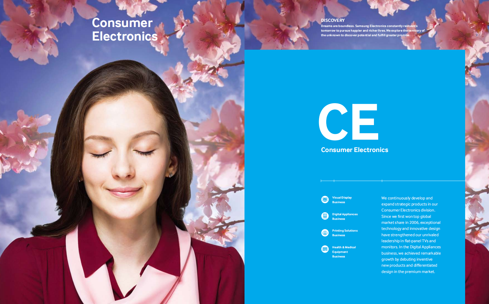 三星电子(SAMSUNG)2012年年度报告(英文版).pdf 第6页