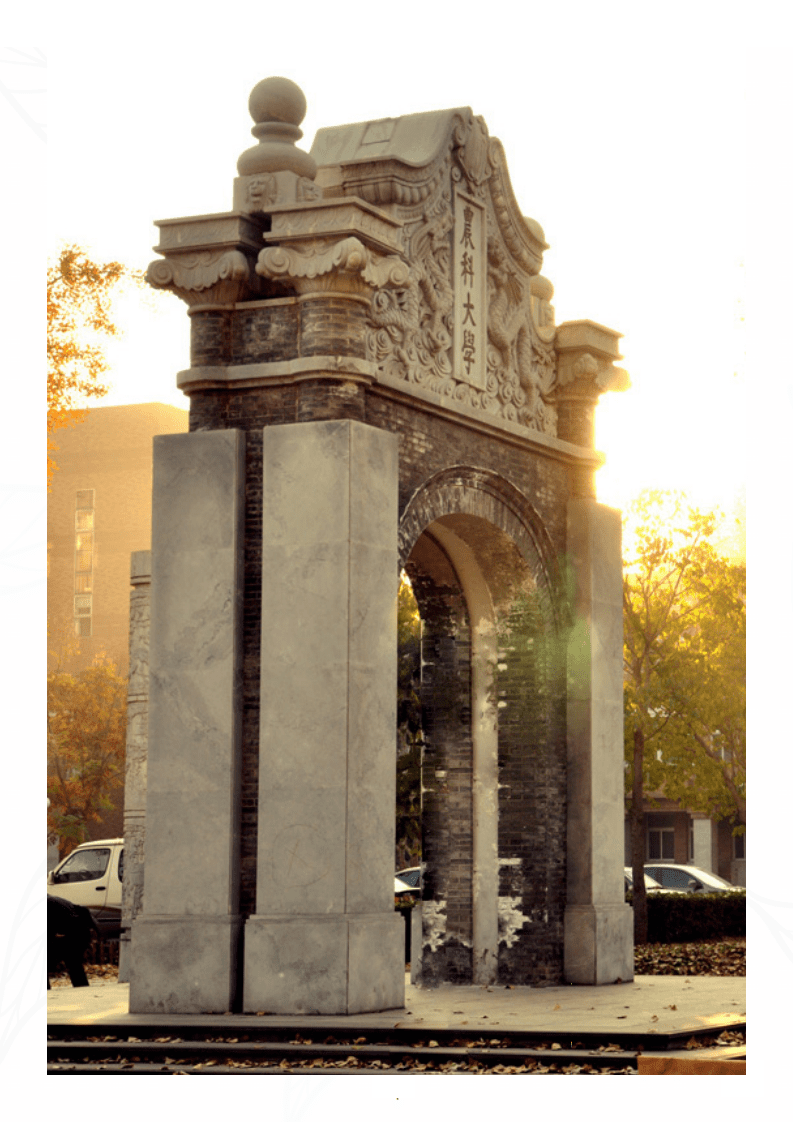 中国农业大学：中国农业大学2021年毕业生就业质量年度报告.pdf 第4页