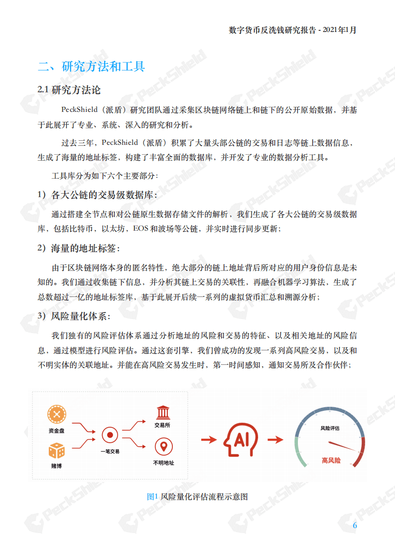 派盾：数字货币反洗钱研究报告2020年度报告.pdf 第6页