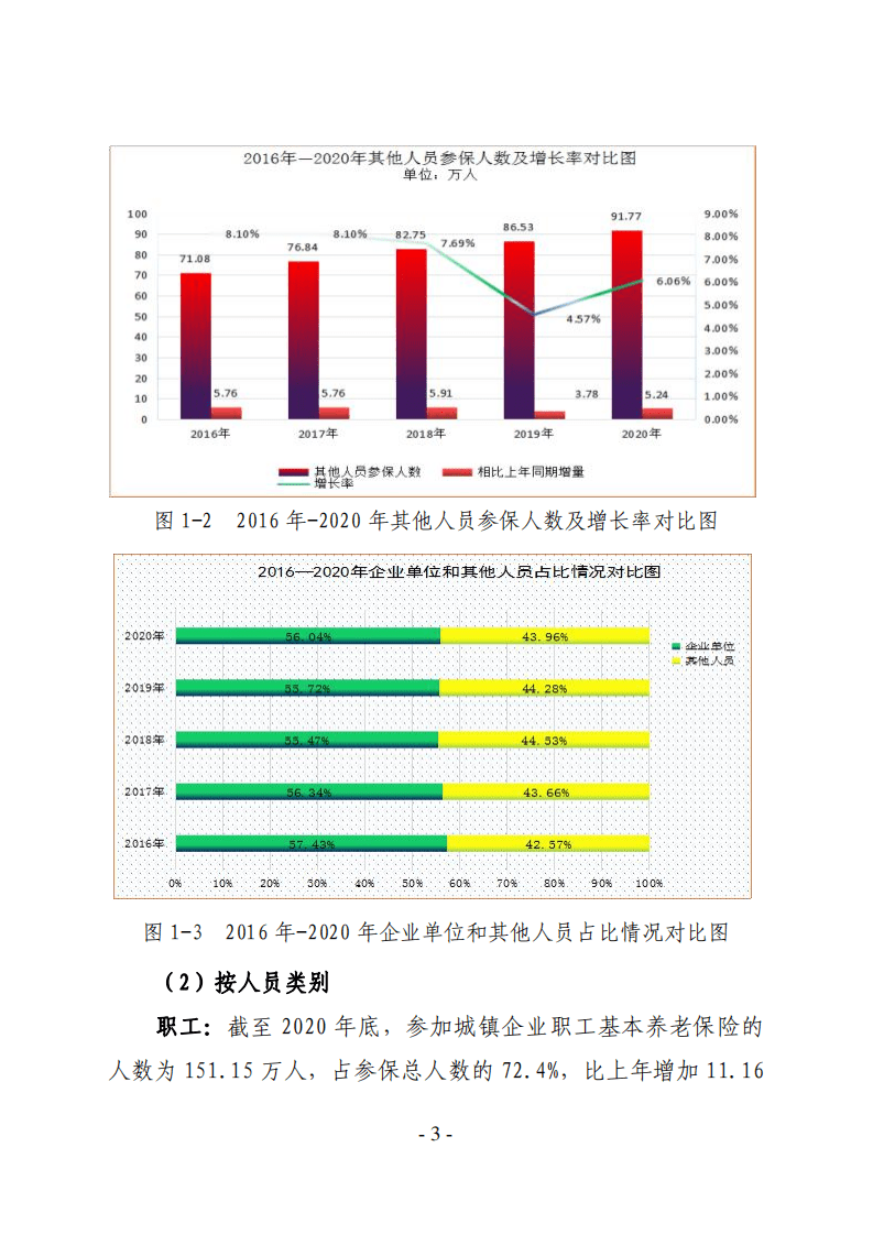 宁夏社会保险发展年度报告 2020.pdf 第3页