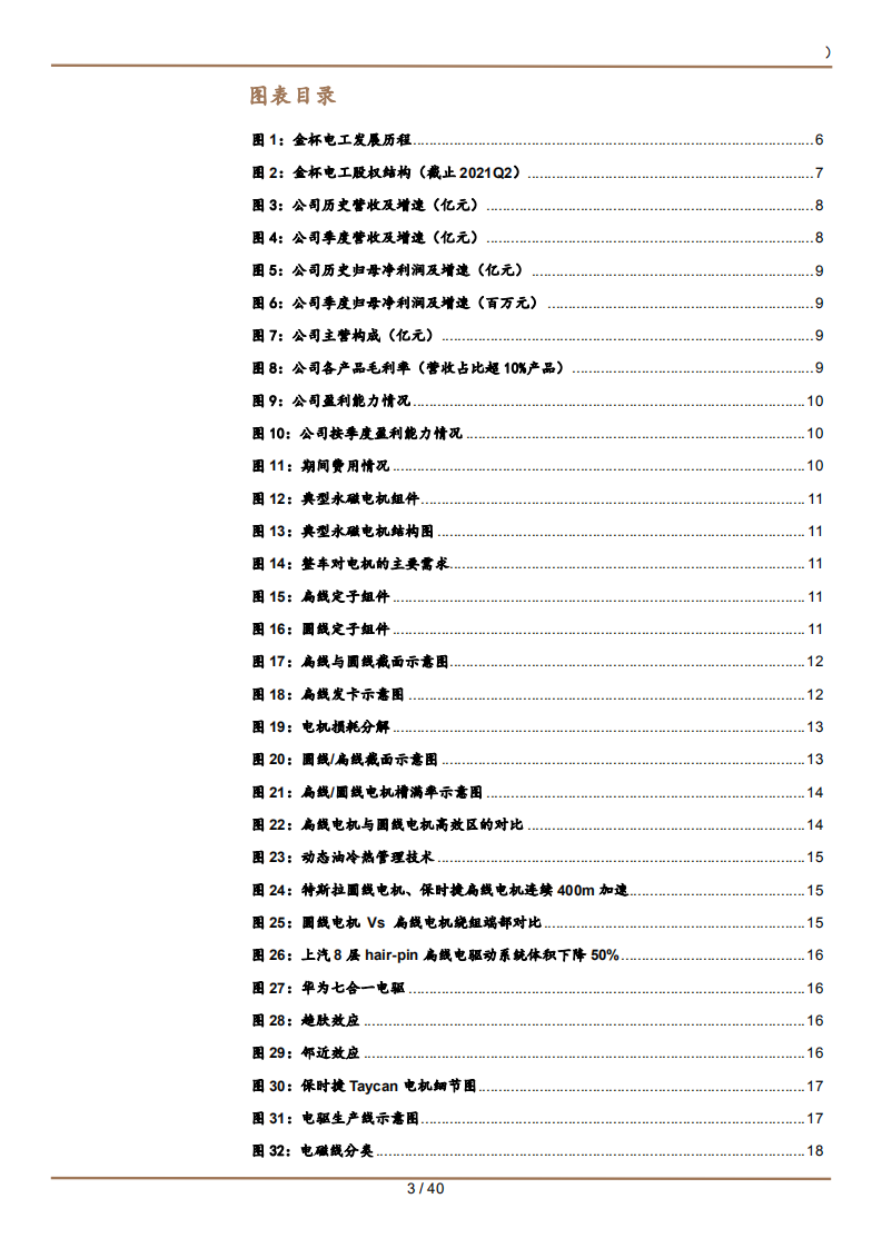 2021年金杯电工公司电线电缆业务与扁线电机趋势分析报告.pdf 第2页