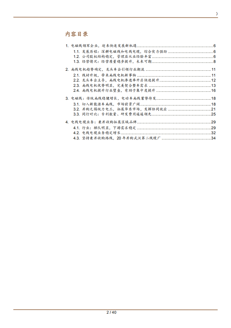 2021年金杯电工公司电线电缆业务与扁线电机趋势分析报告.pdf 第1页