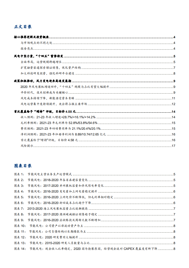 2021年节能风电公司渠道布局与发展趋势分析报告.pdf 第1页