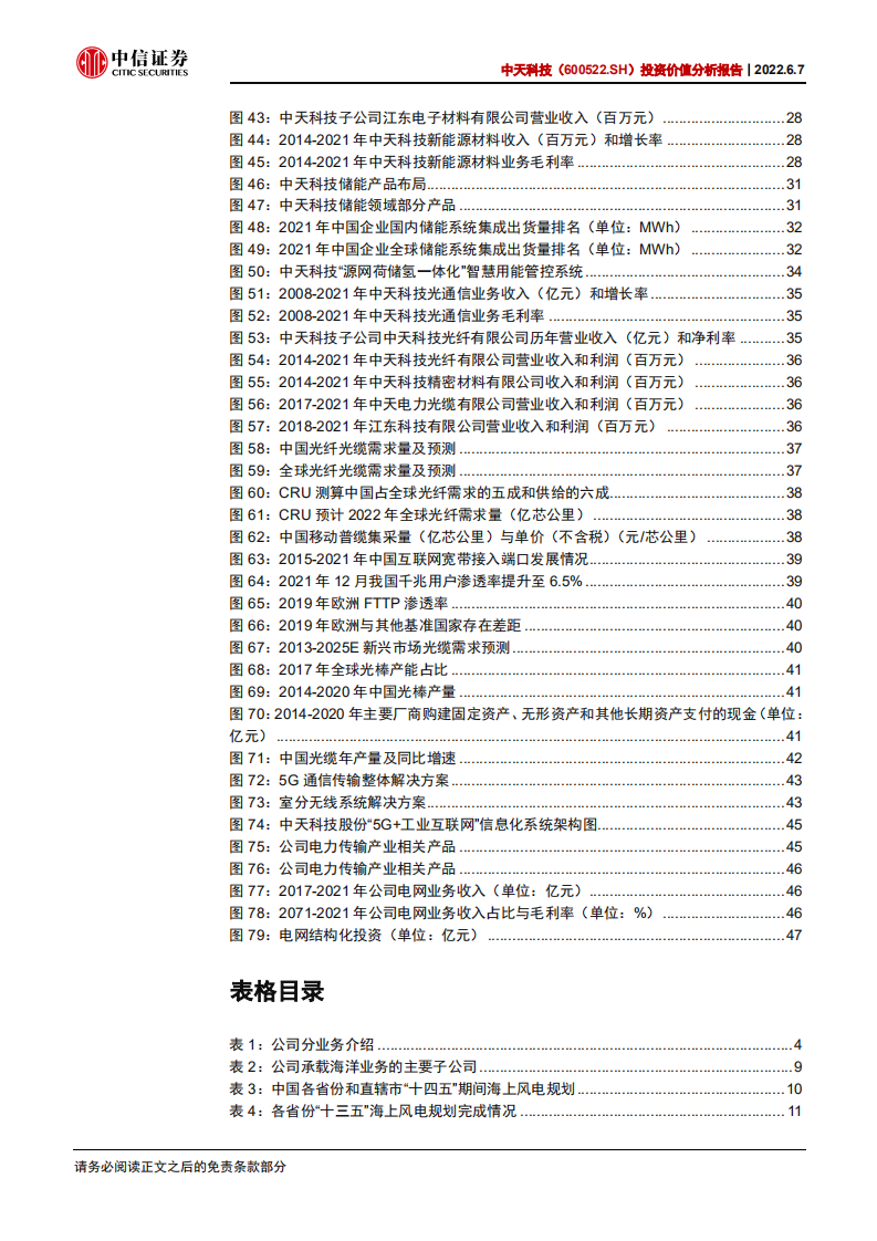 中天科技-投资价值分析报告：光电网联龙头，风电海缆与光缆共振-220607.pdf 第5页