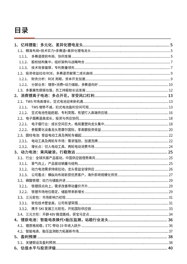 2021年差异化锂电龙头亿纬锂能公司产业链布局情况分析报告.pdf 第1页