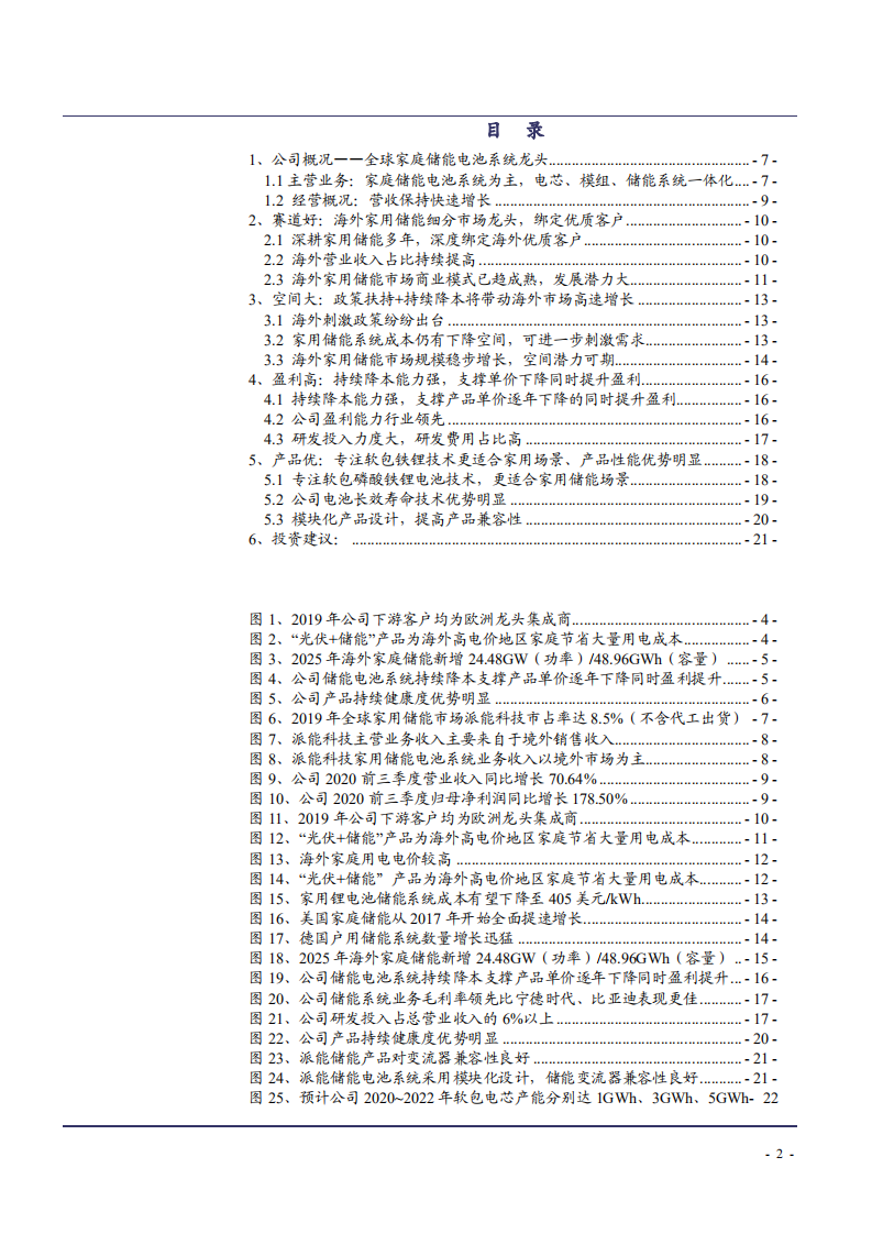2021年全球家用储能龙头派能科技公司竞争优势分析报告.pdf 第1页
