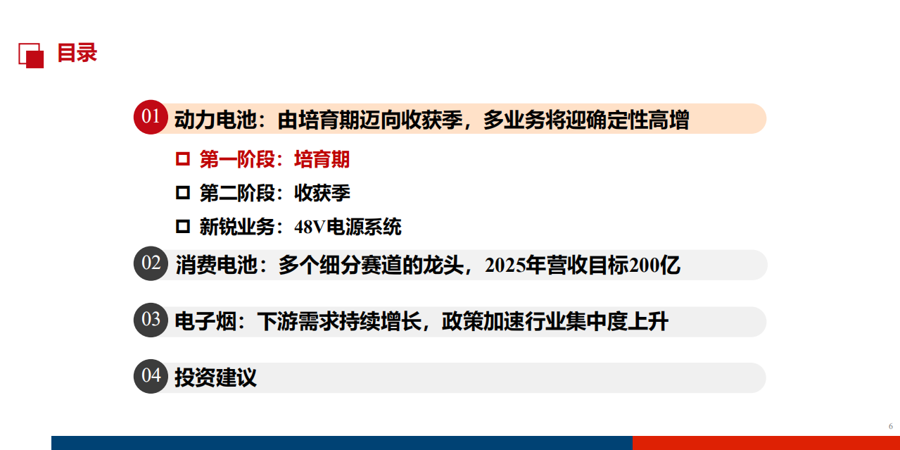 2021年亿纬锂能公司经营策略及财务报表分析报告.pdf 第1页