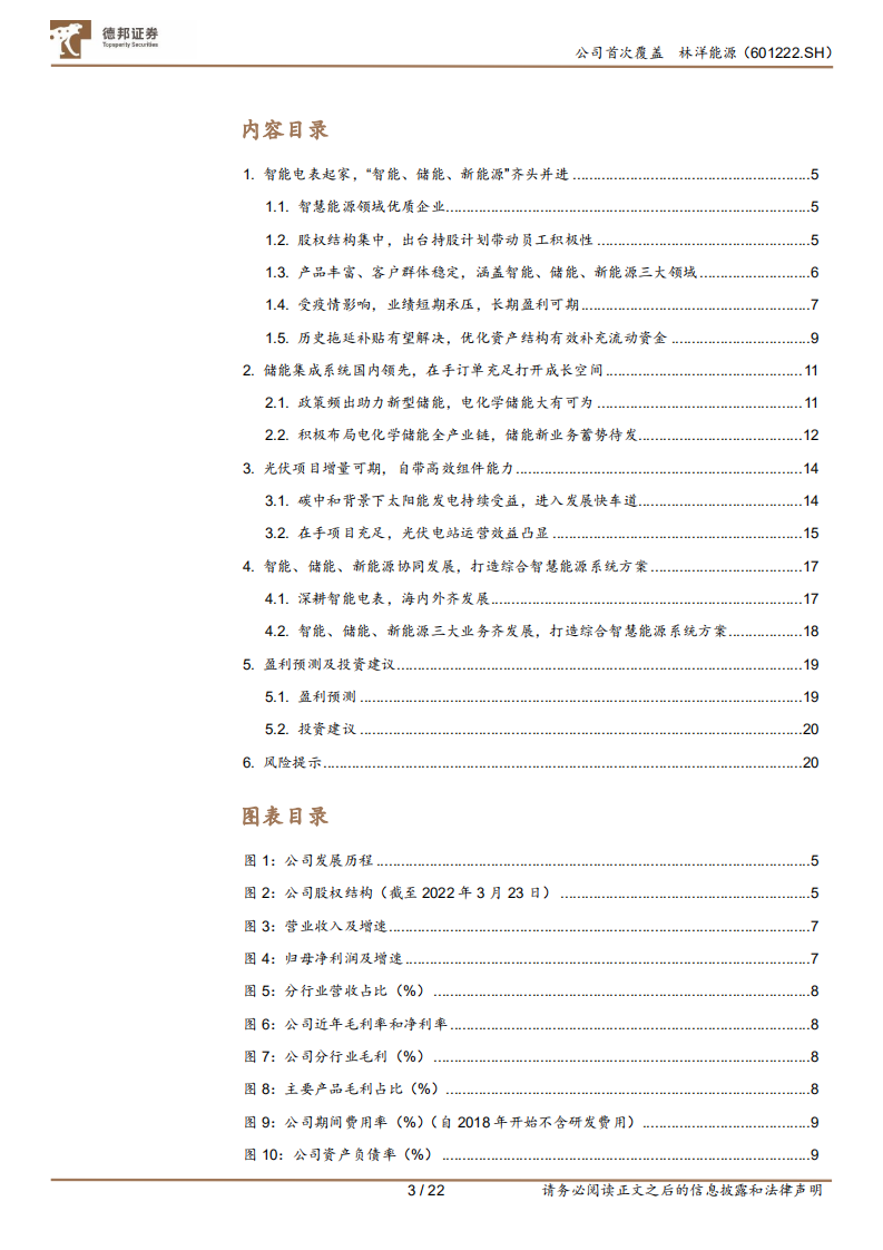 林洋能源-智能、储能、新能源协同发展，一流运营商成长性凸显-220519.pdf 第3页