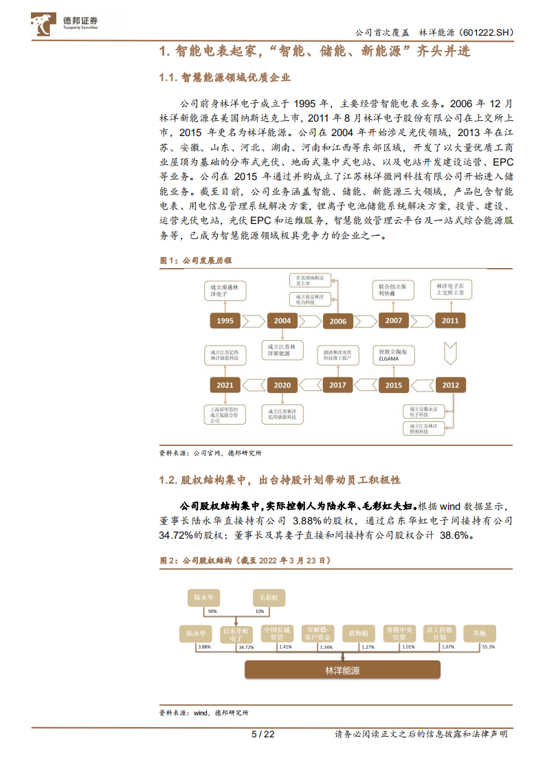 林洋能源-智能、储能、新能源协同发展，一流运营商成长性凸显-220519.pdf 第5页
