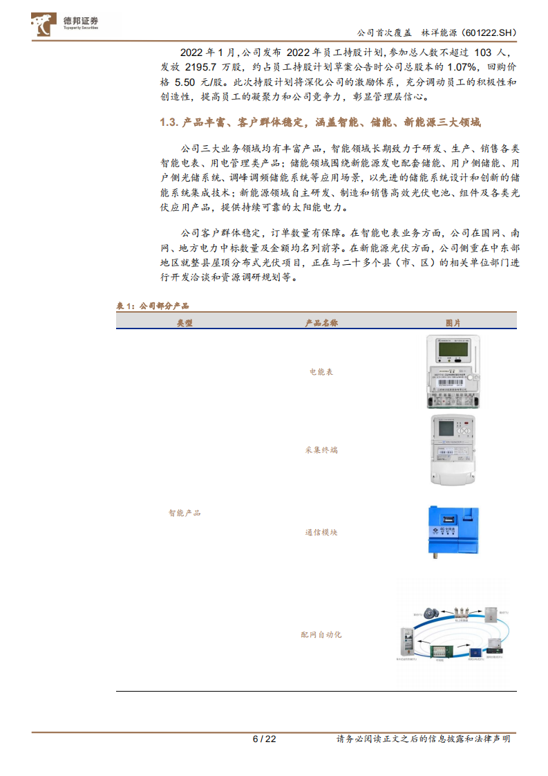 林洋能源-智能、储能、新能源协同发展，一流运营商成长性凸显-220519.pdf 第6页