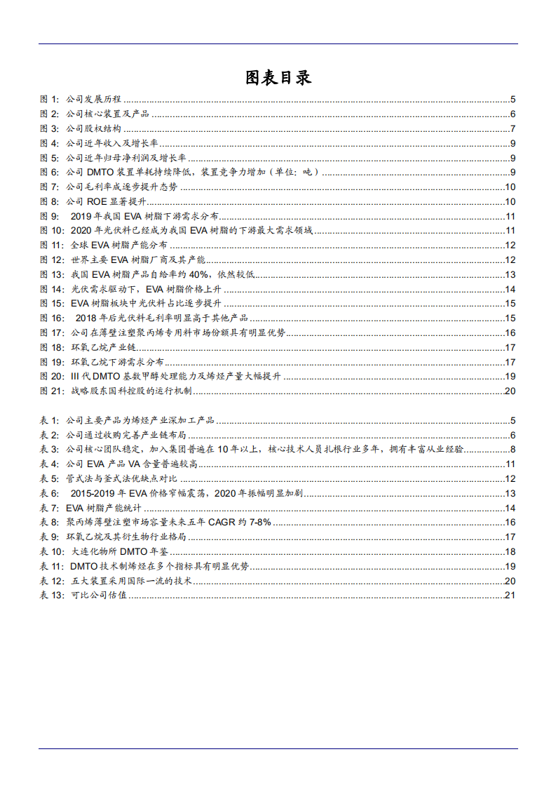2021年联泓新科公司烯烃产业链及EVA光伏料供需现状分析报告.pdf 第2页