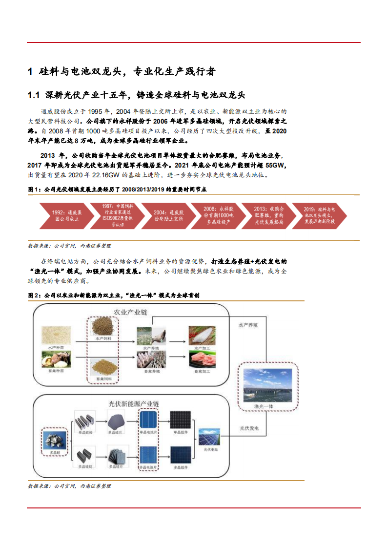2021年硅料与电池双龙头通威股份公司竞争优势分析报告.pdf 第4页