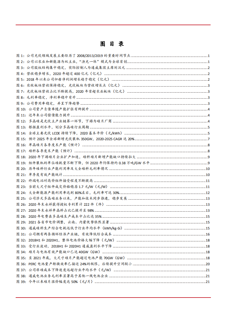 2021年硅料与电池双龙头通威股份公司竞争优势分析报告.pdf 第2页
