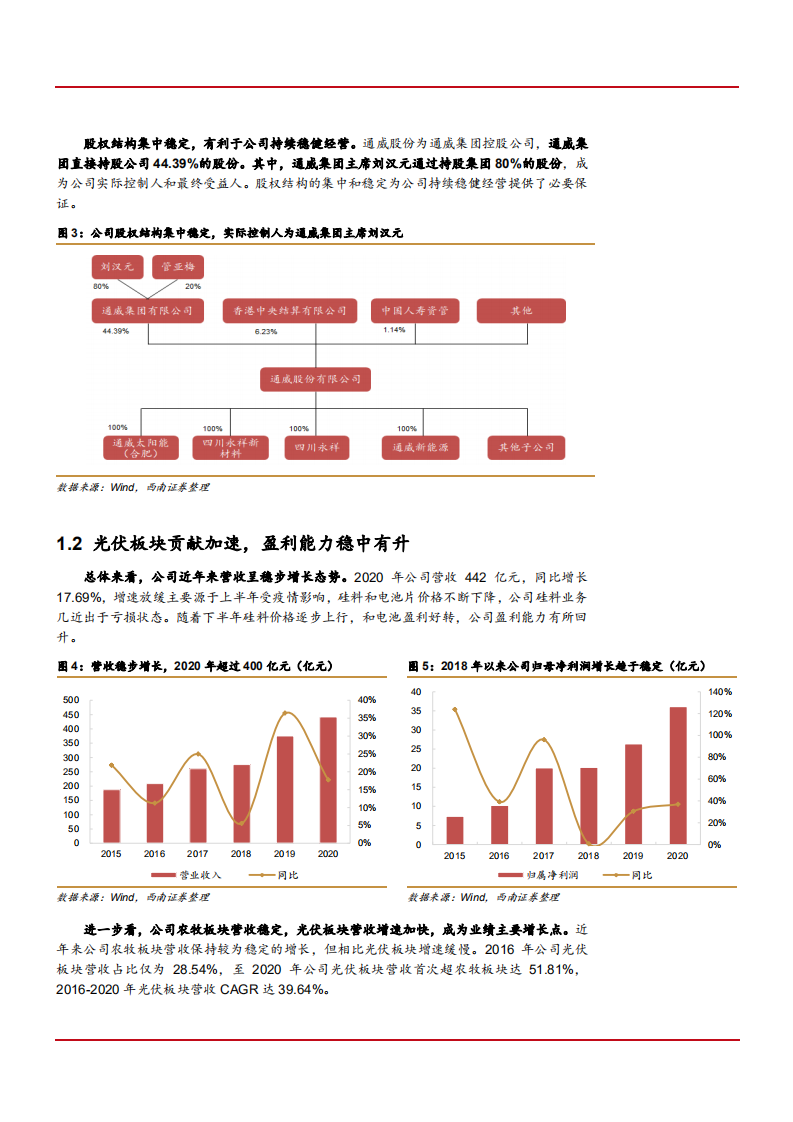 2021年硅料与电池双龙头通威股份公司竞争优势分析报告.pdf 第5页
