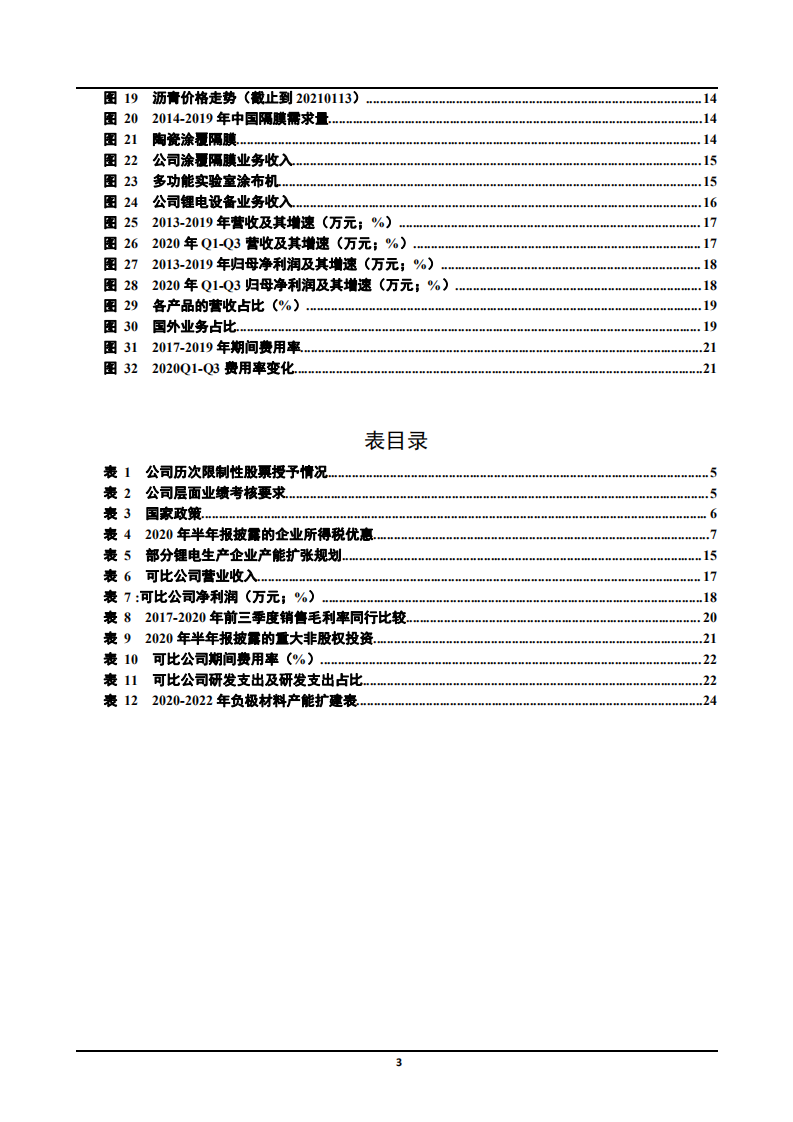 2021年锂电池市场应用及璞泰来公司盈利能力分析报告.pdf 第2页
