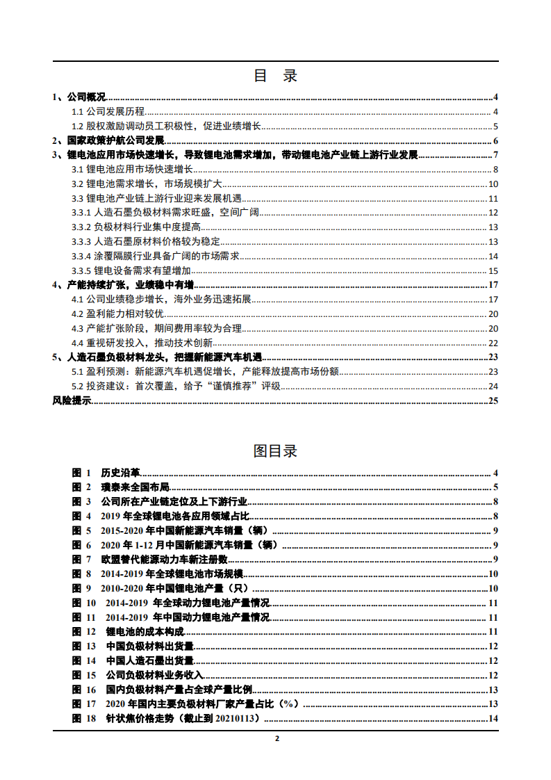 2021年锂电池市场应用及璞泰来公司盈利能力分析报告.pdf 第1页