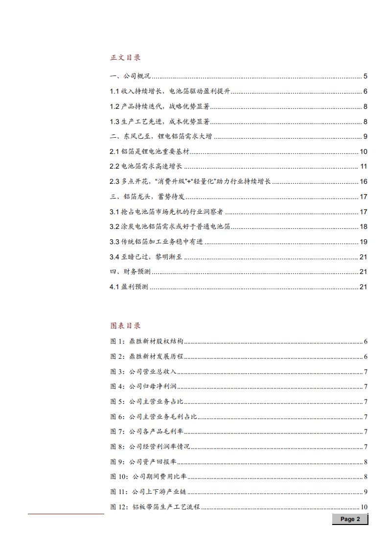 2021年锂电铝箔龙头鼎胜新材公司上下游产业链分析报告.pdf 第1页