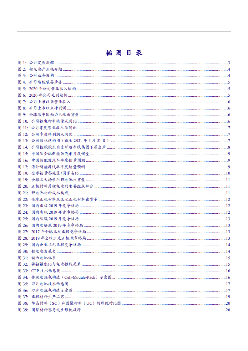 2021年锂电正极龙头当升科技公司竞争优势分析报告.pdf 第2页