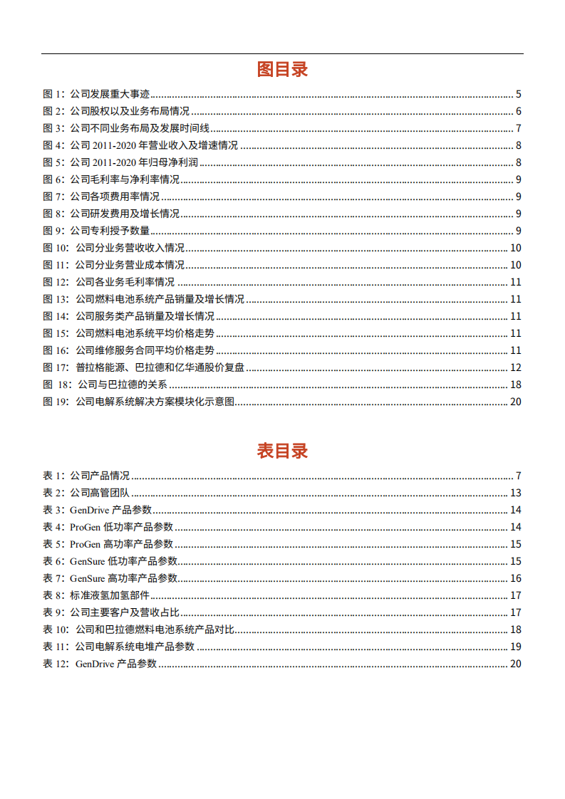 2021年氢燃料电池龙头普拉格能源公司竞争优势分析报告.pdf 第2页