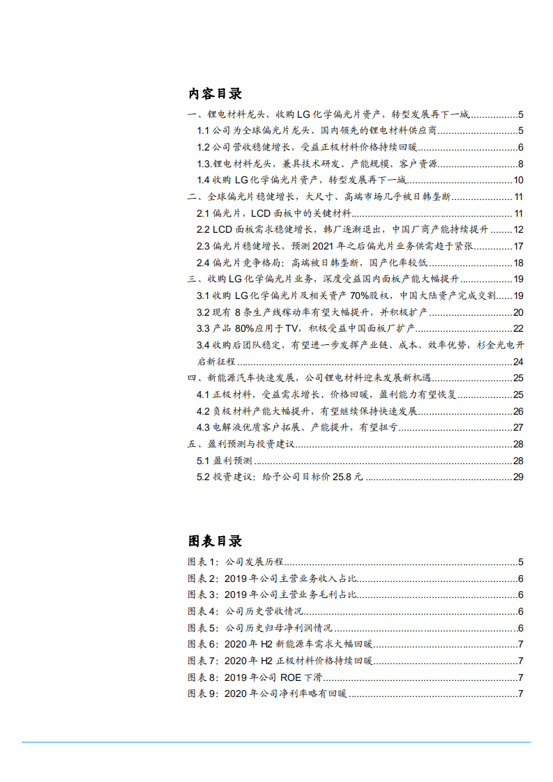 2021年杉杉股份公司偏光片与锂电材料发展趋势分析报告.pdf 第1页