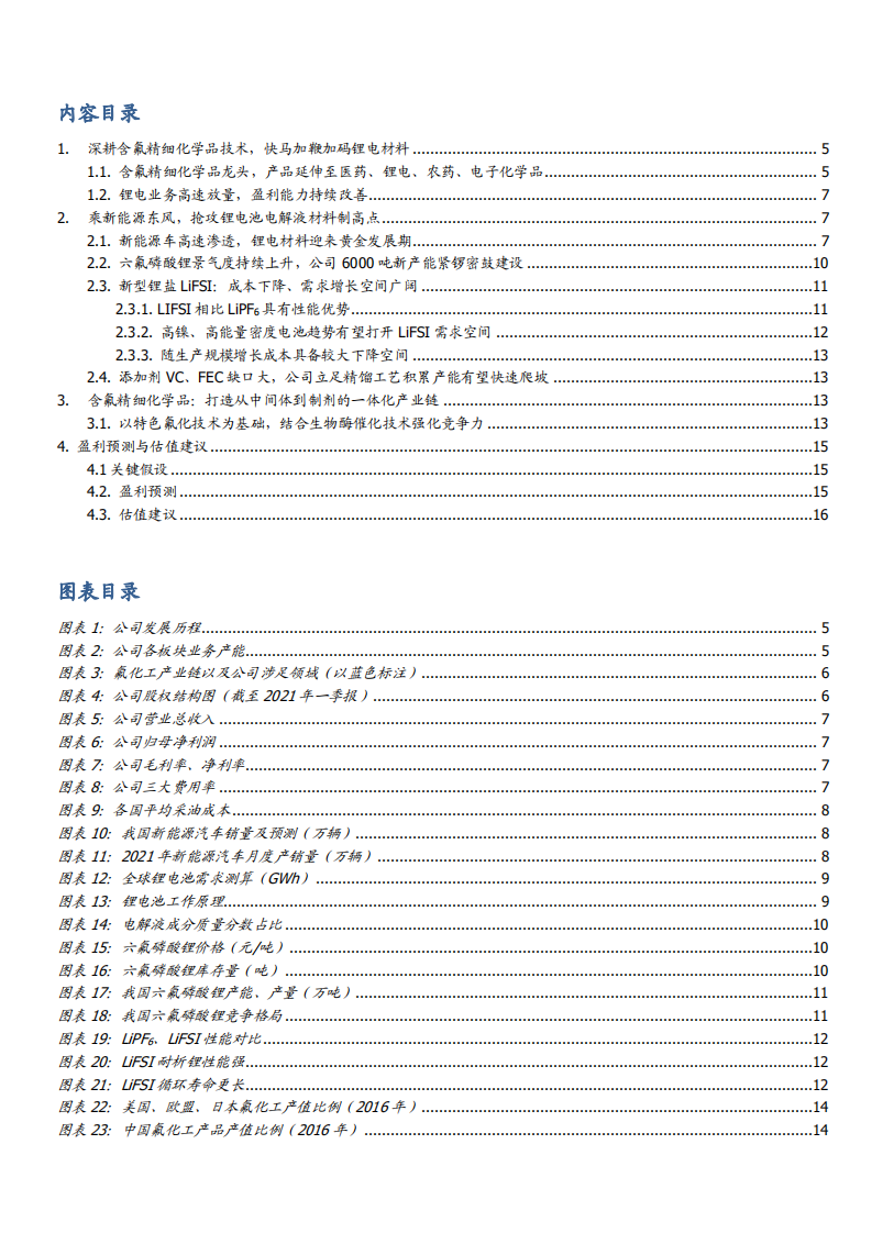 2021年永太科技公司布局锂电材料与含氟精细化学品分析报告.pdf 第1页
