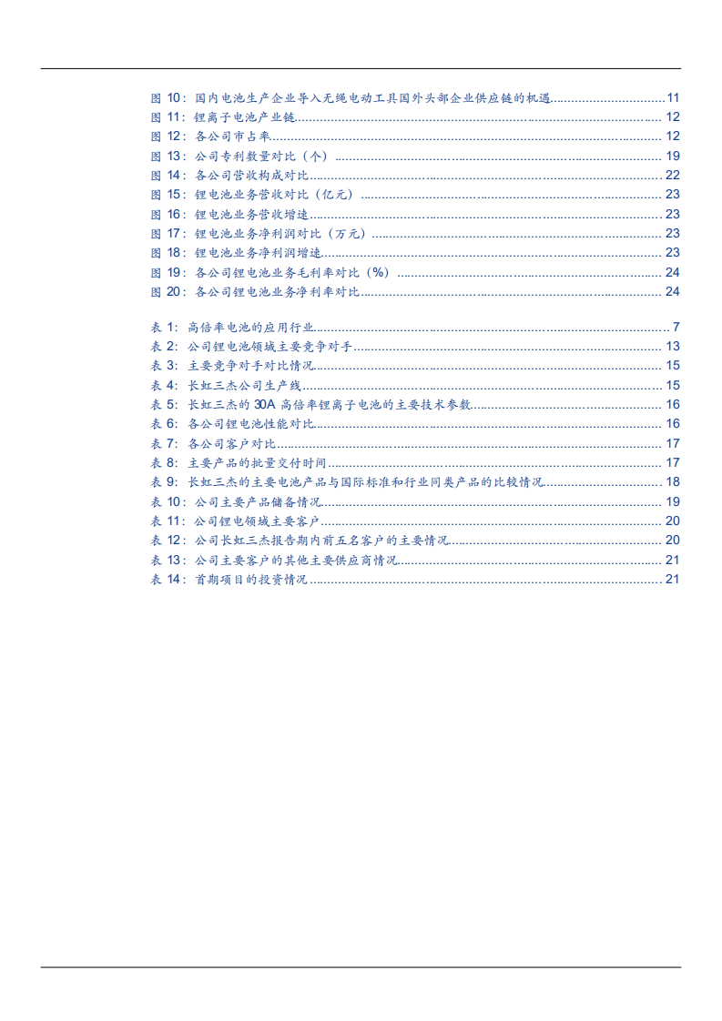 2021年长虹能源公司锂电池市场格局及竞争优势分析报告.pdf 第2页