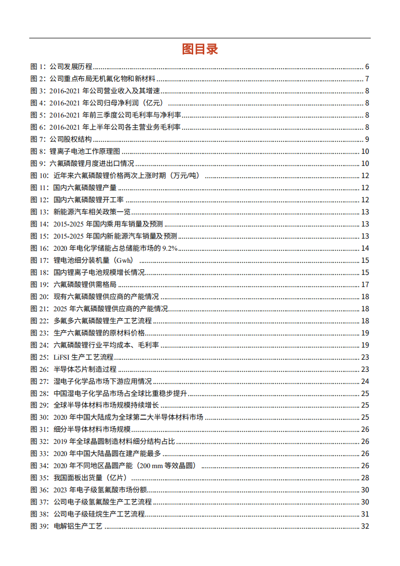 2021年氟系新材料龙头公司多氟多业务布局分析及电子氢氟酸发展机遇研究报告.pdf 第2页