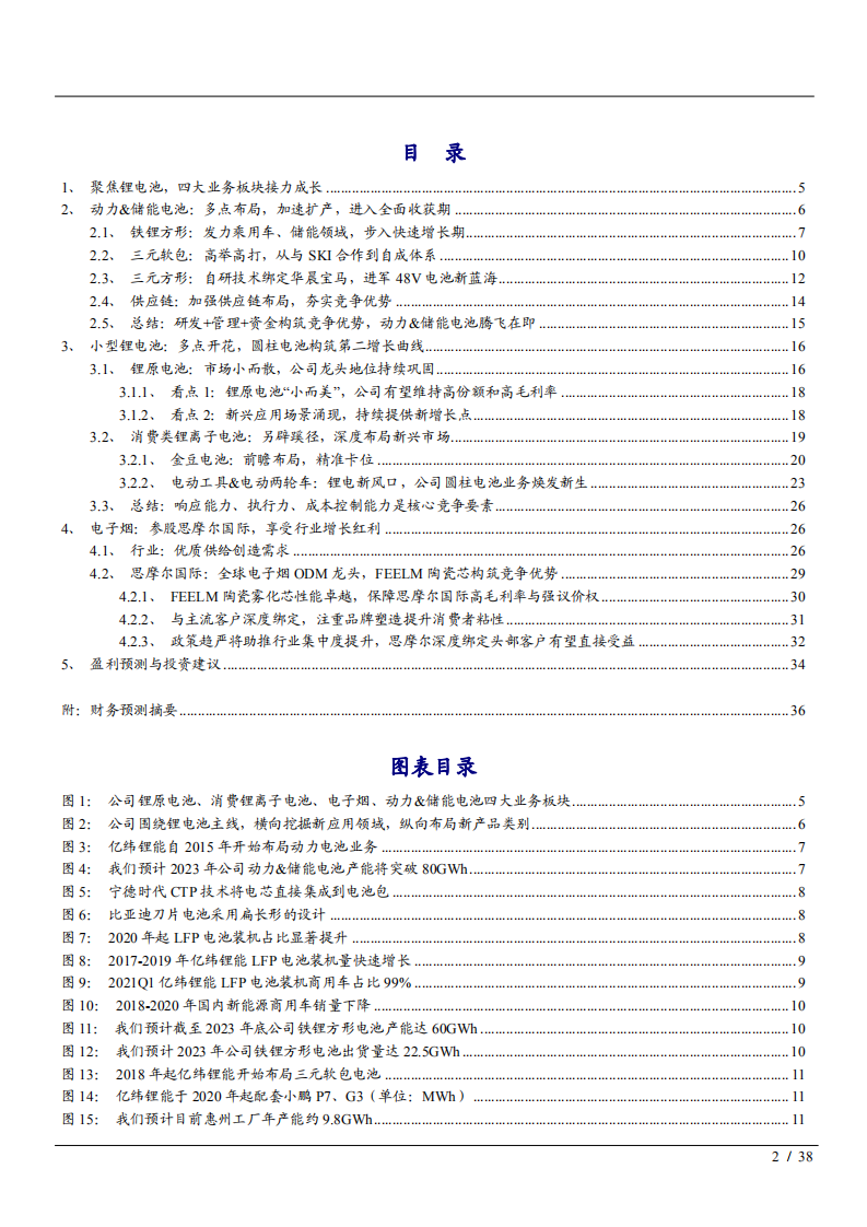 2021年亿纬锂能公司锂原电池业务与电子烟市场前景分析报告.pdf 第1页