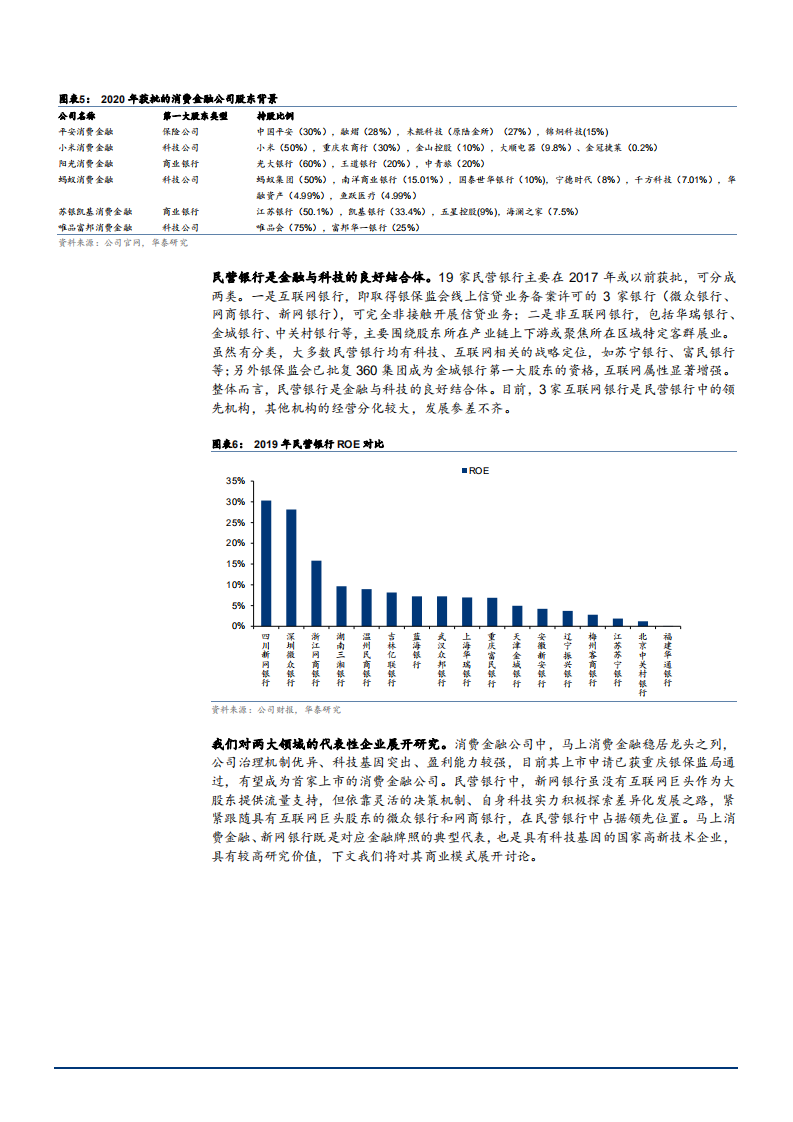 2021年马上消费金融公司与新网银行发展前景分析报告.pdf 第5页