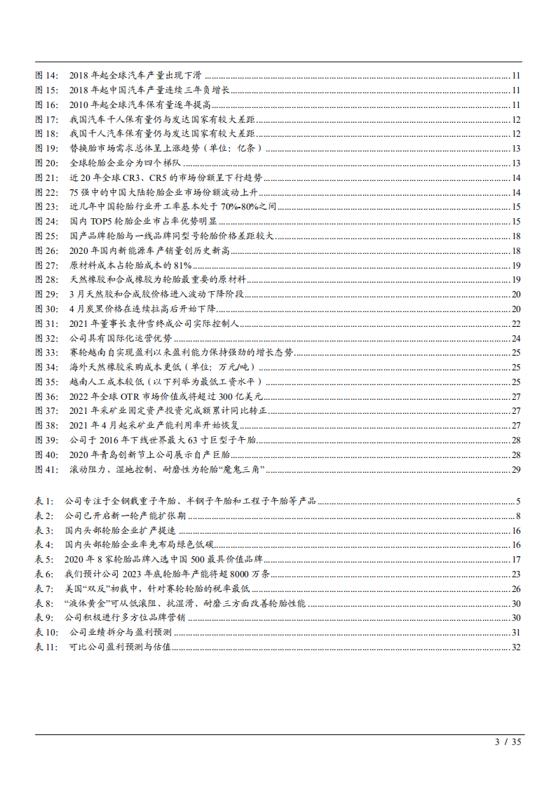 2021年轮胎替换市场潜力与赛轮轮胎公司竞争优势分析报告.pdf 第2页