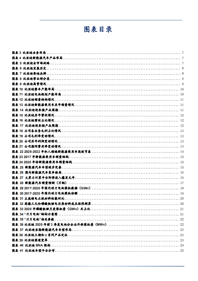 2021年比亚迪公司品牌与销量发展趋势分析报告.pdf 第2页