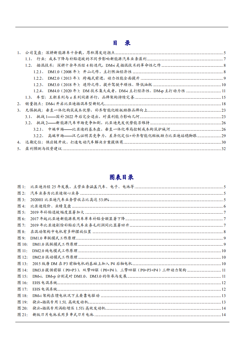 2021年比亚迪公司业务布局及未来前景分析报告.pdf 第1页